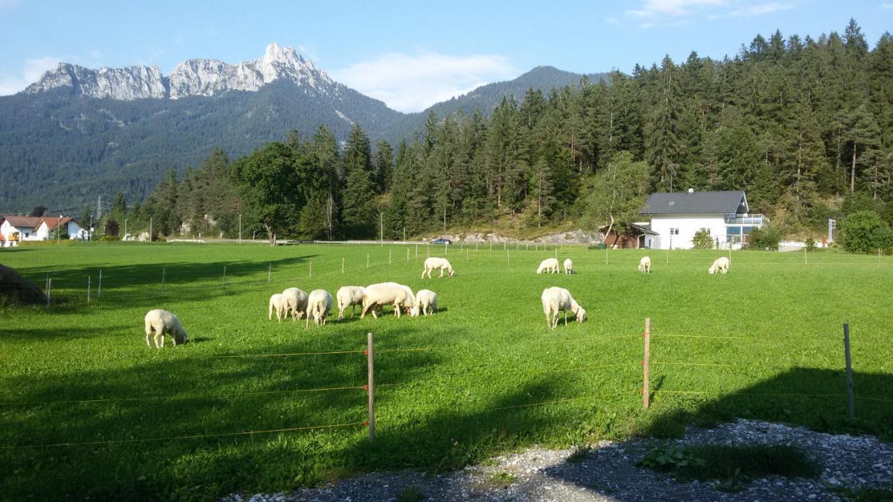 Ferienwohnung AlMa Pflach Exterior foto